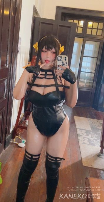 KANEKO_咔喵 约尔太太同人兔女郎 [63P5V-1.48GB](42)