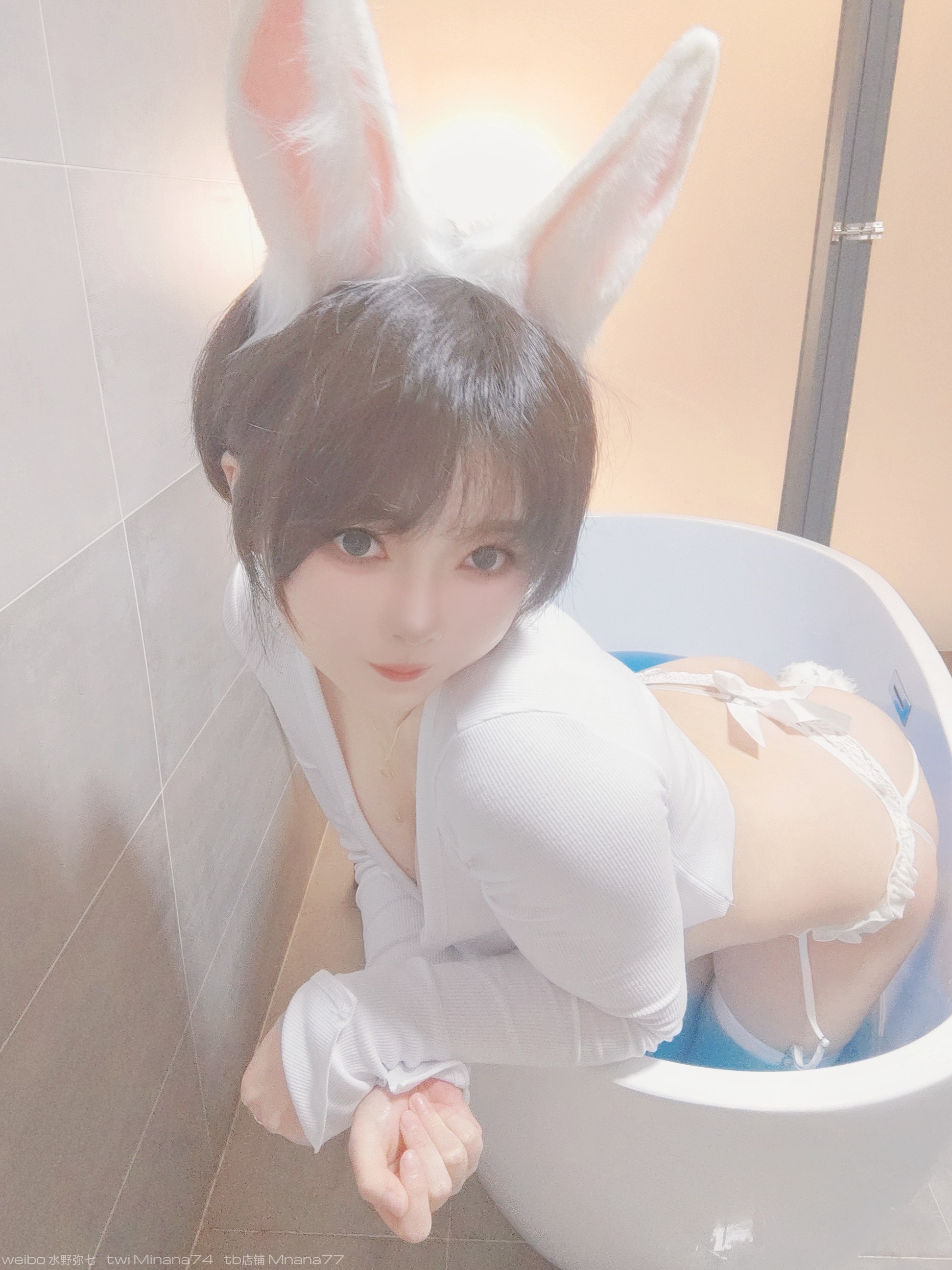 水野弥七 白兔兔 34P-4V(1)