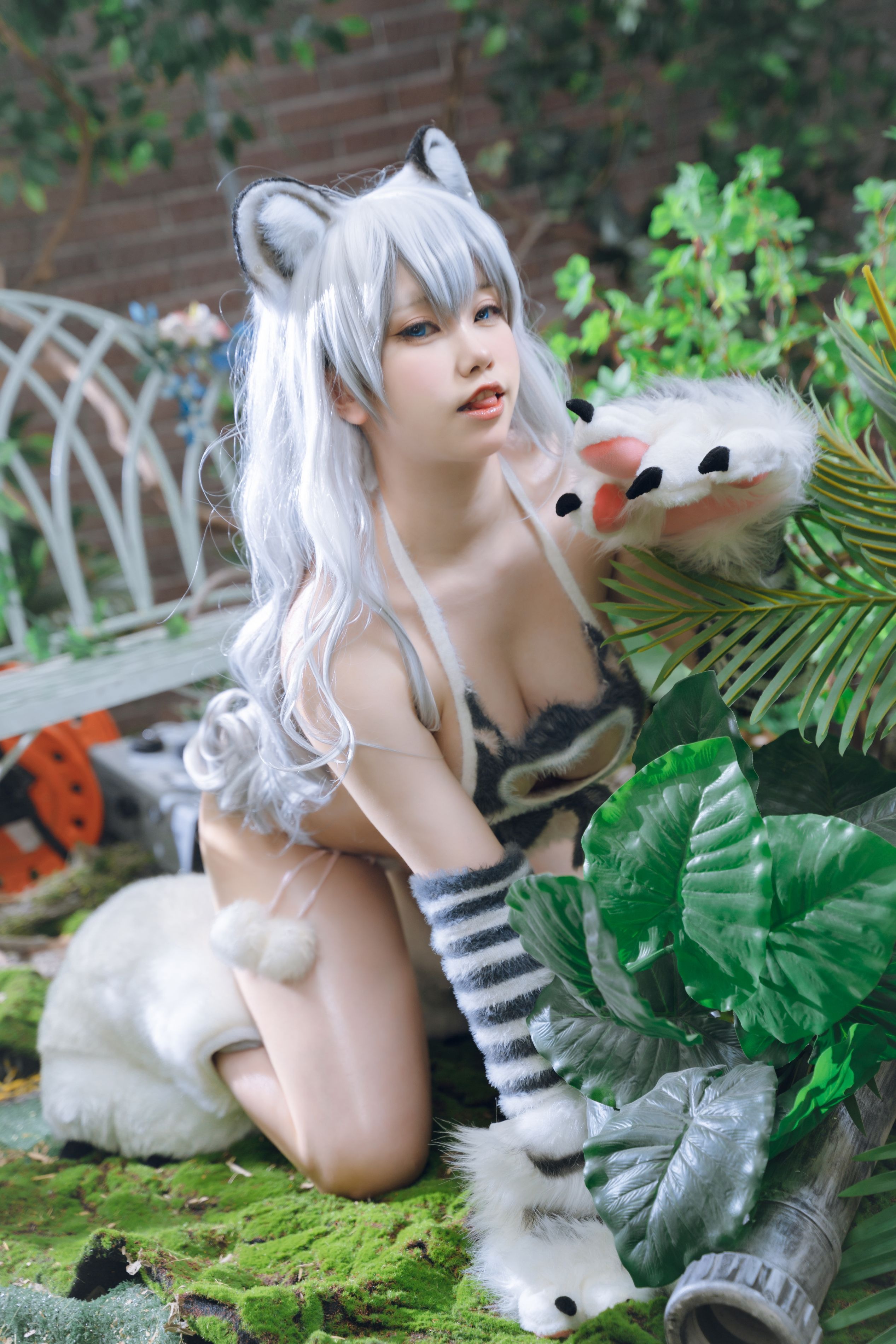 一北 白虎兽娘福瑞（11月21打赏群资源）(11)