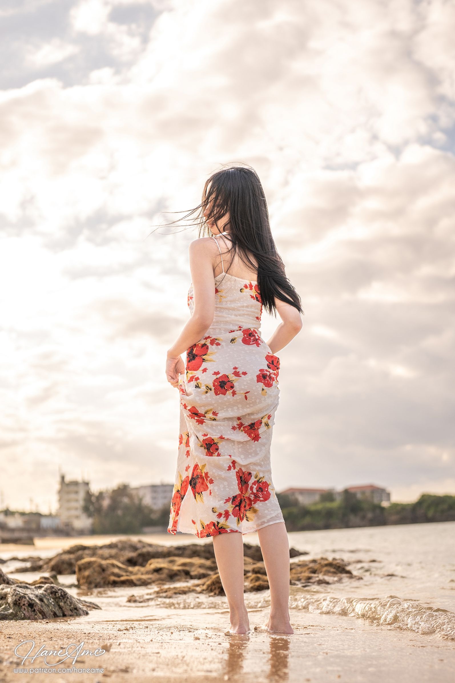 Original_Hibiscu_沖繩扶桑花（9月2打赏群自购资源）(18)