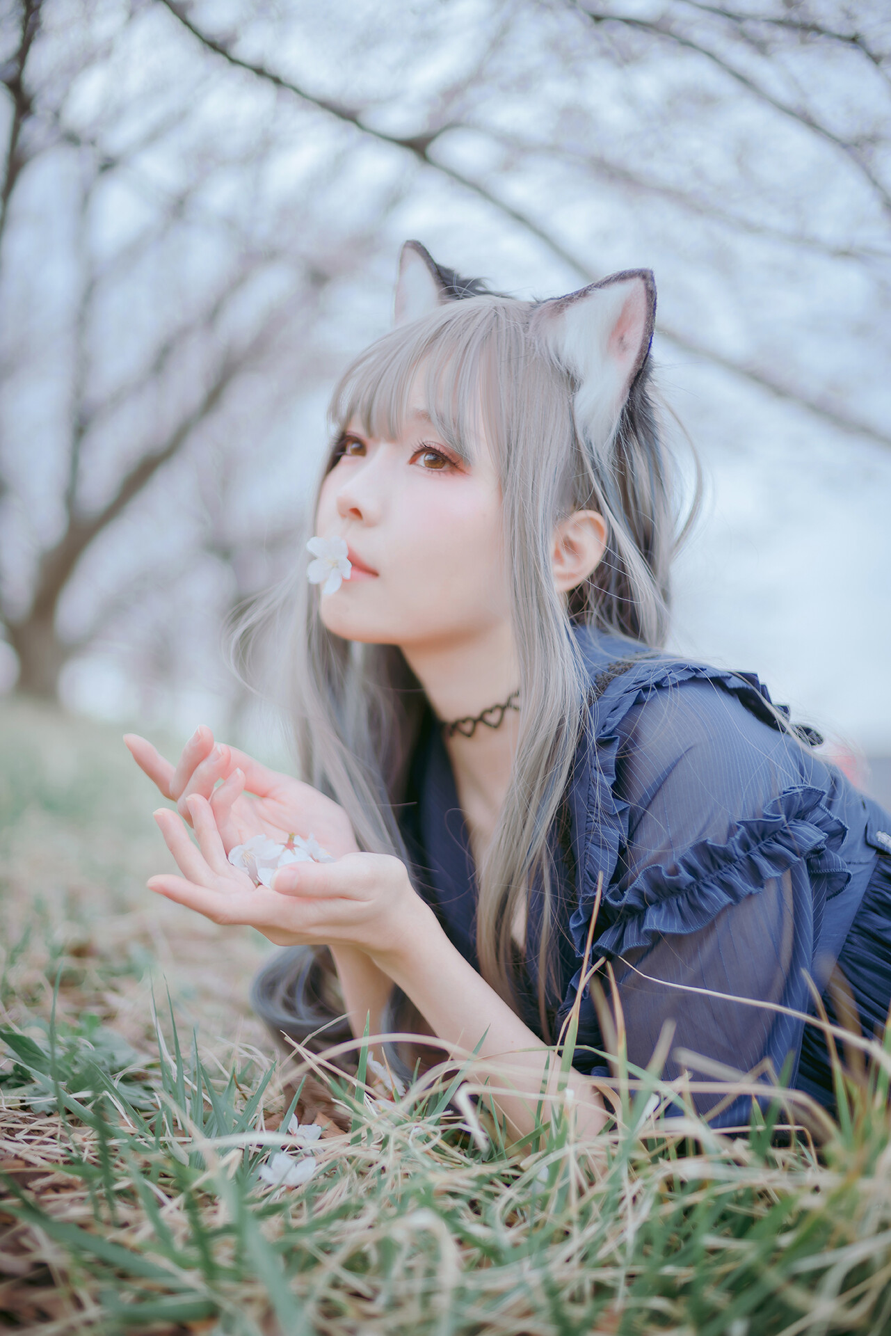 [Ely] Sakura桜 2021 Nekomimi Ver.(21)