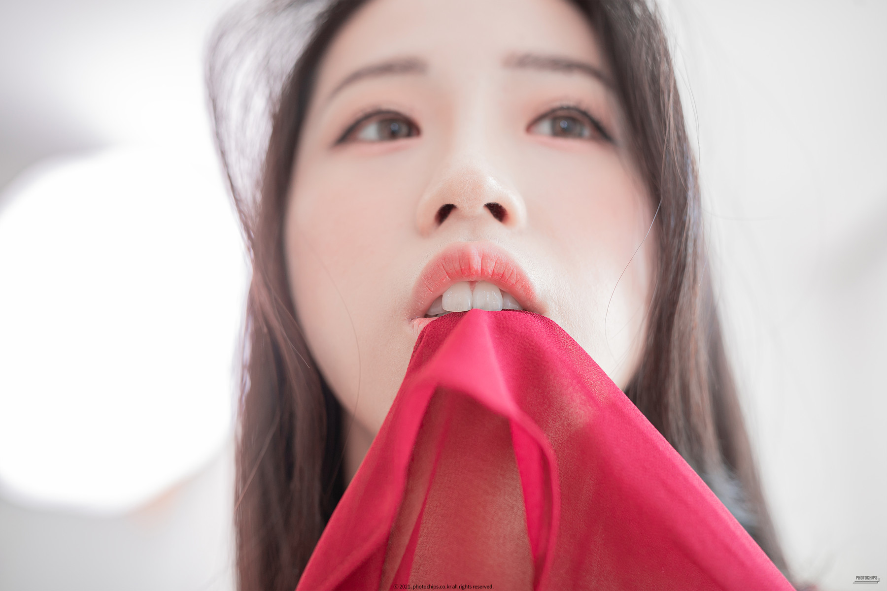Dami 퀸다미, [PhotoChips] 포토칩스는 Vol.76(45)
