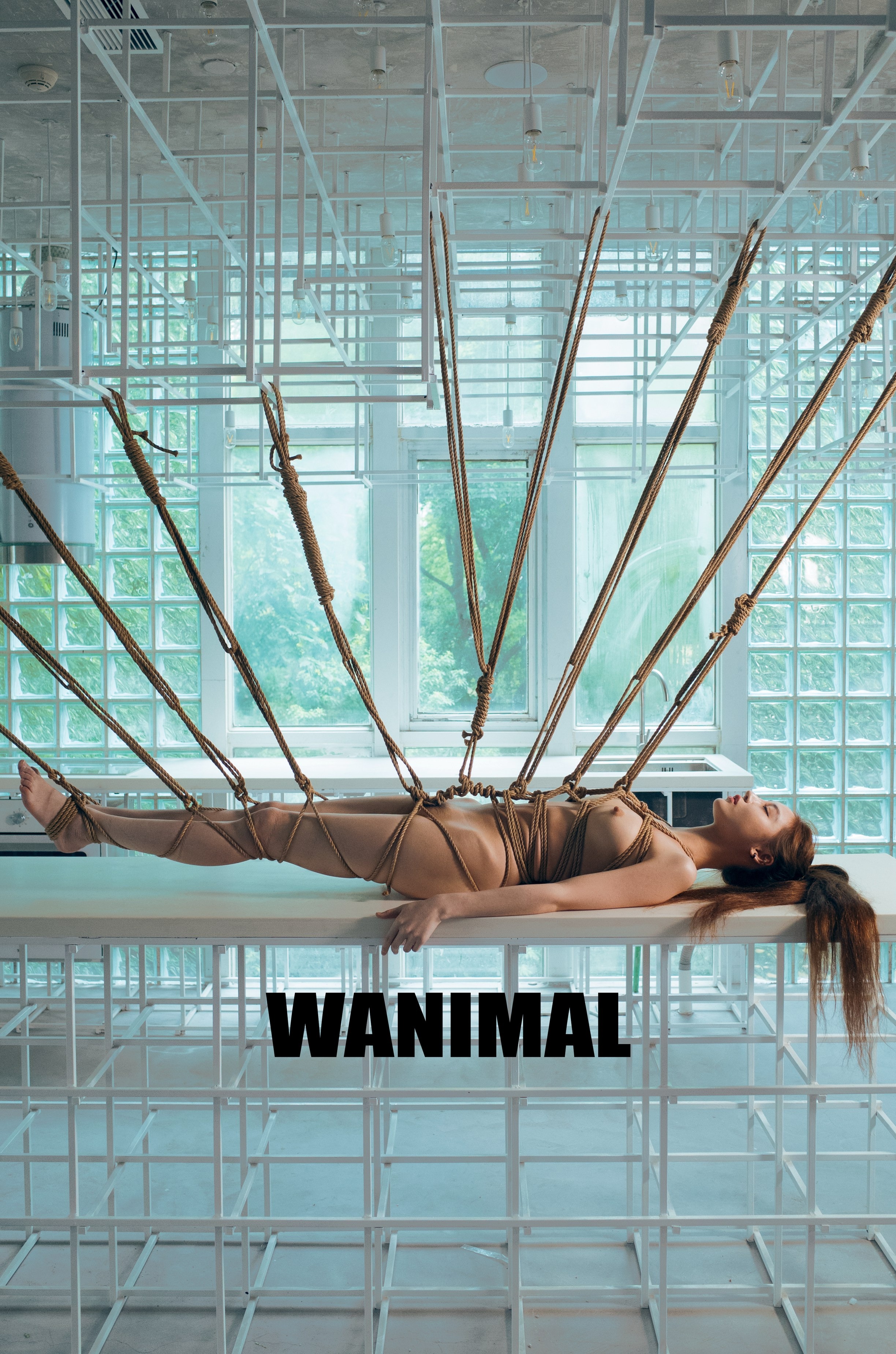 WANIMAL王动作品 154P(129)