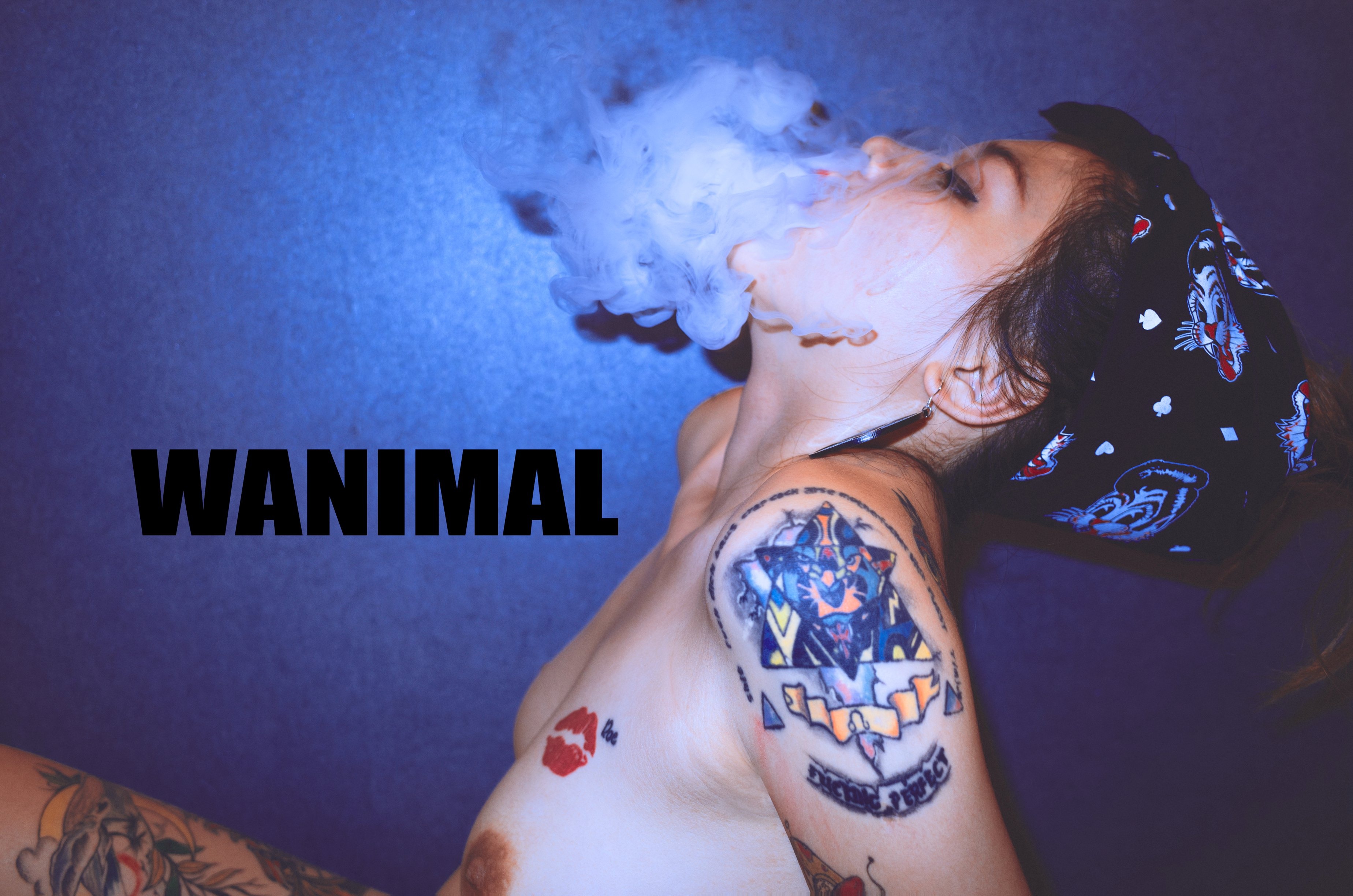 WANIMAL王动作品 160P(133)