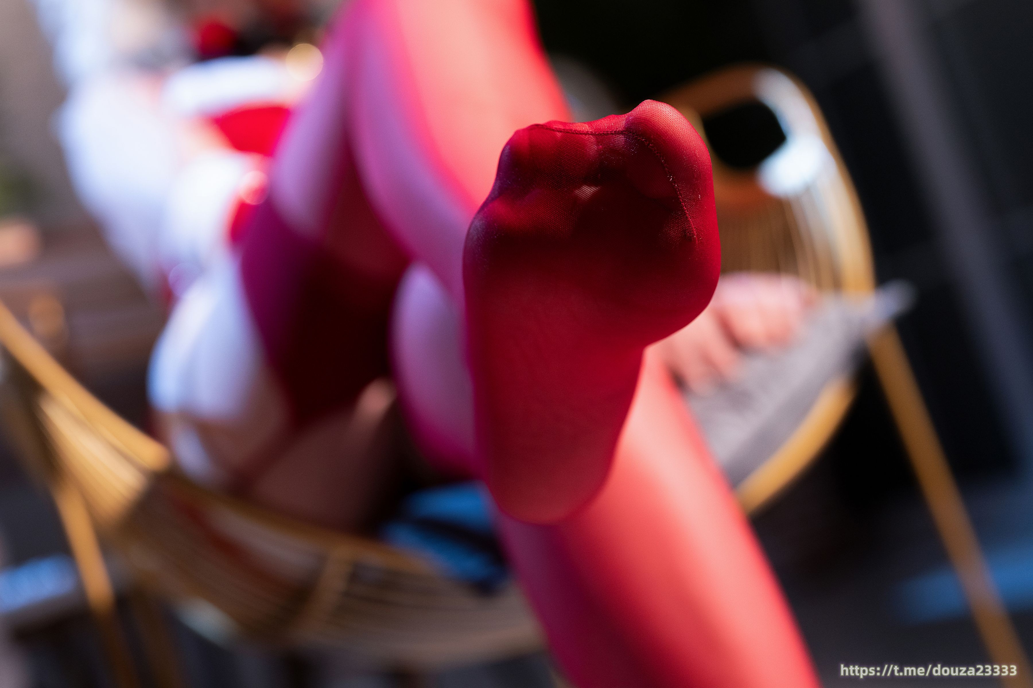 星之迟迟 2023圣诞精灵C(68)