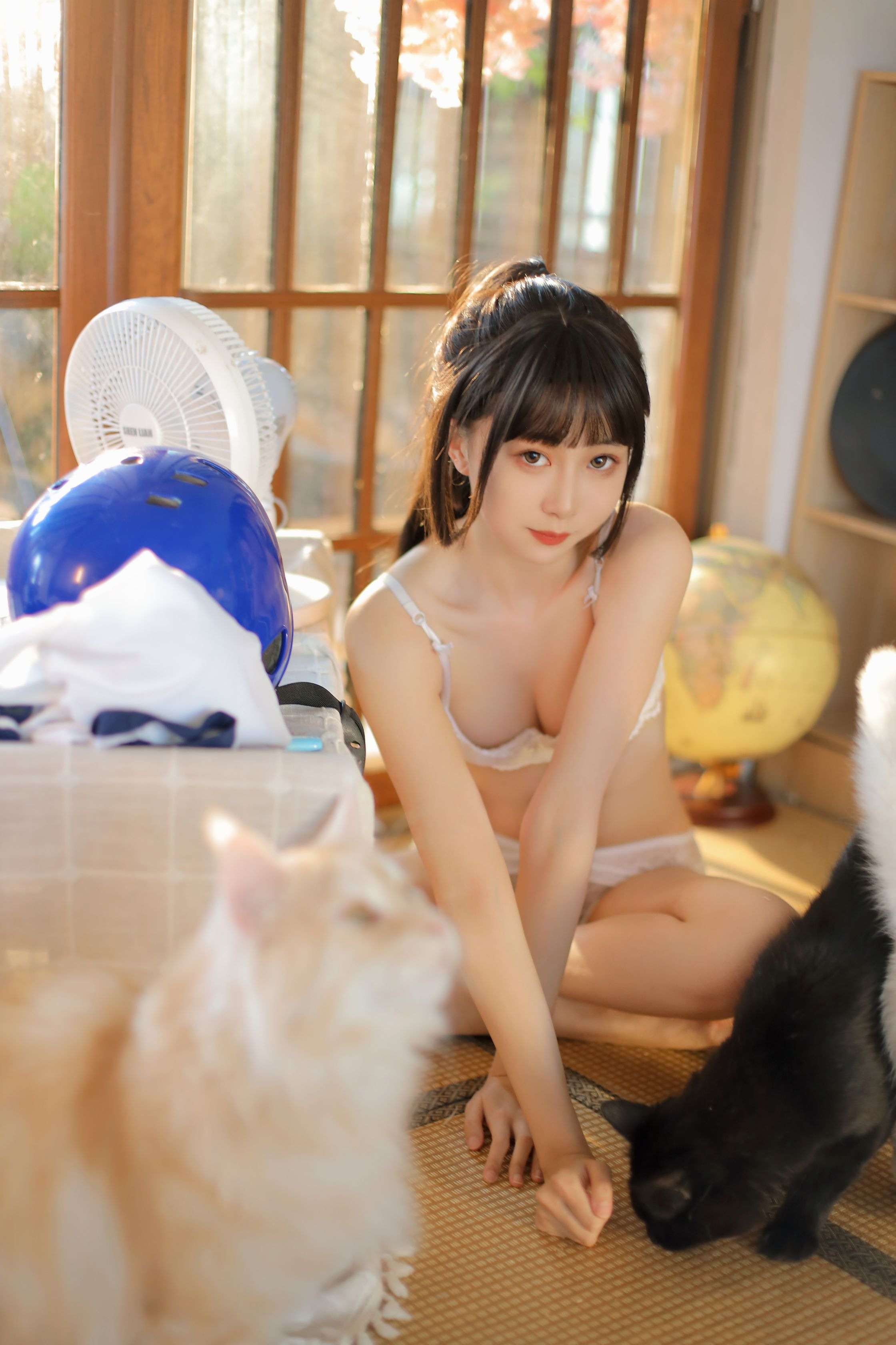 金鱼 夏日午后（8月22会员资源）(10)