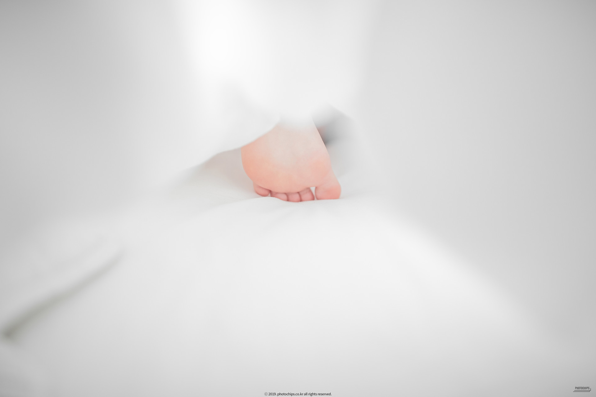 Queen Dami 퀸다미, [PhotoChips] Vol.064(13)