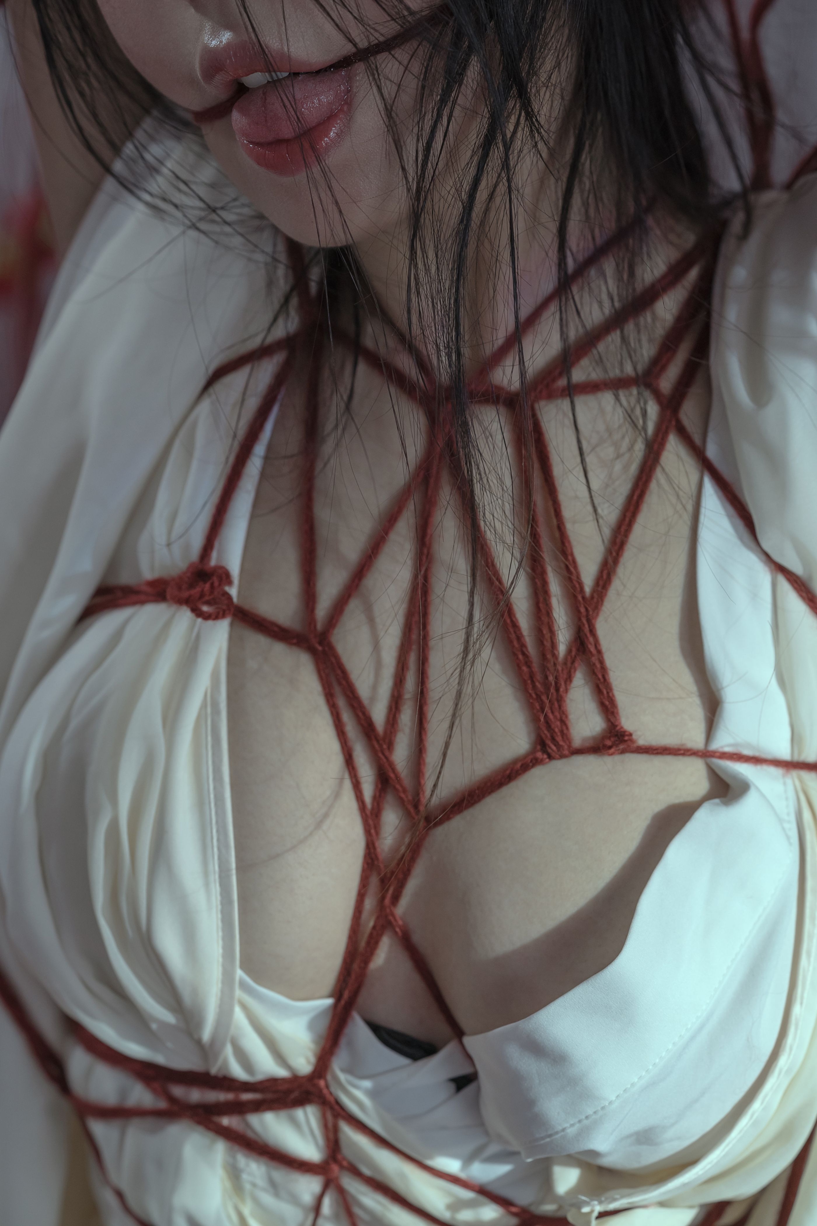 奶桃 囚鸟[64P-768MB](49)