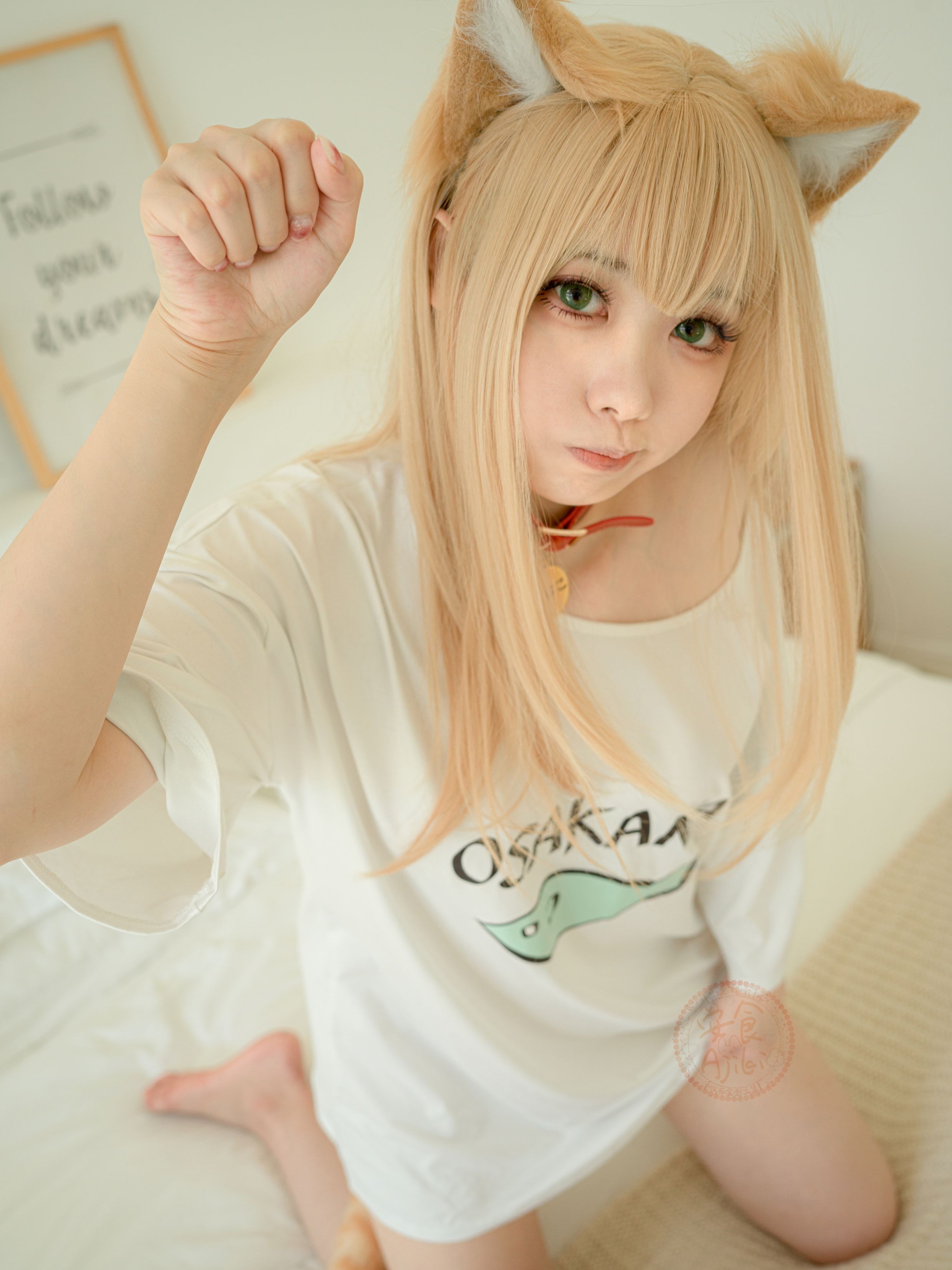 安食AJIKI 黄豆粉(22)