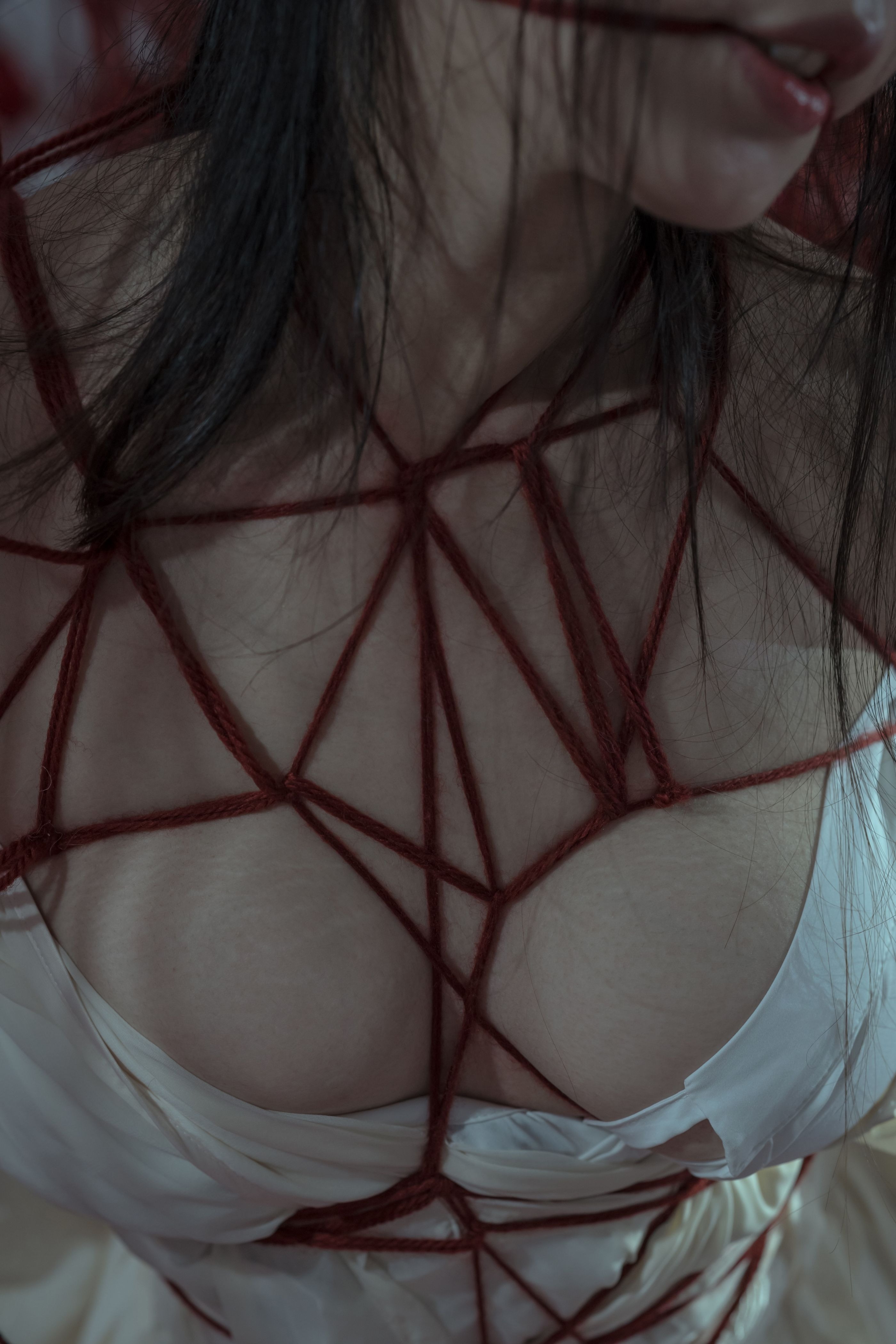 奶桃 囚鸟[64P-768MB](11)