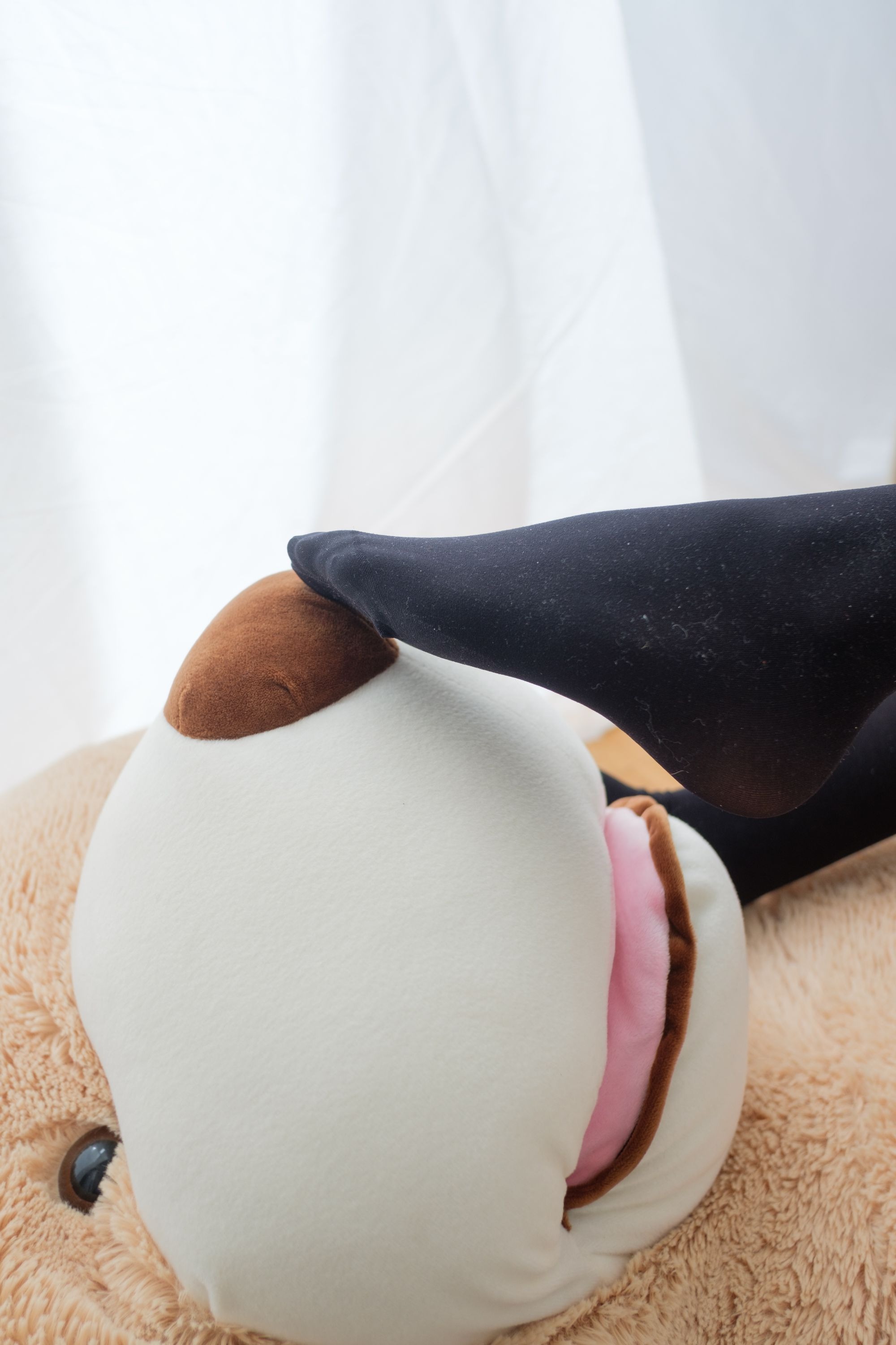 喵写真-[PR15-002] 在大熊身上的黑丝少女[90P1V](25)