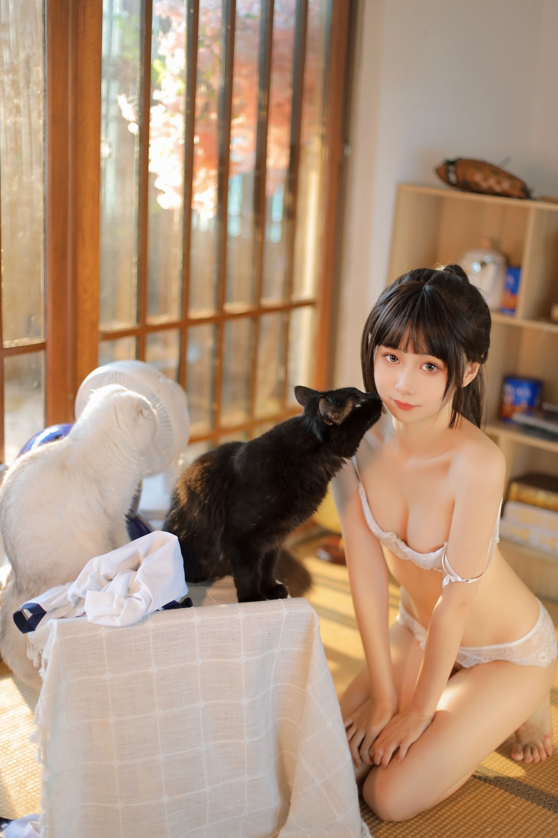金鱼 夏日午后（8月22会员资源）(19)