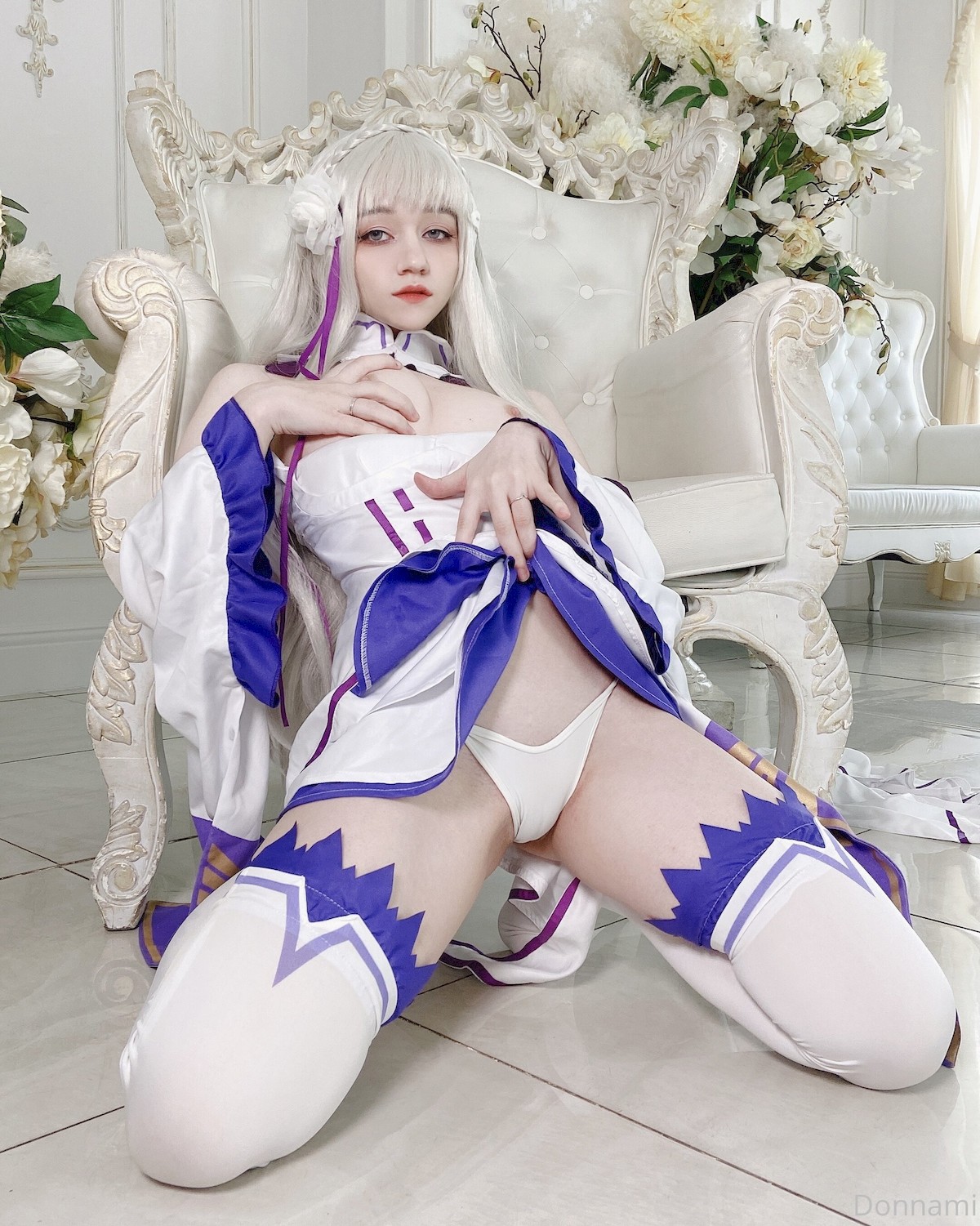 DonnaLoli Cosplay エミリア Emilia(4)