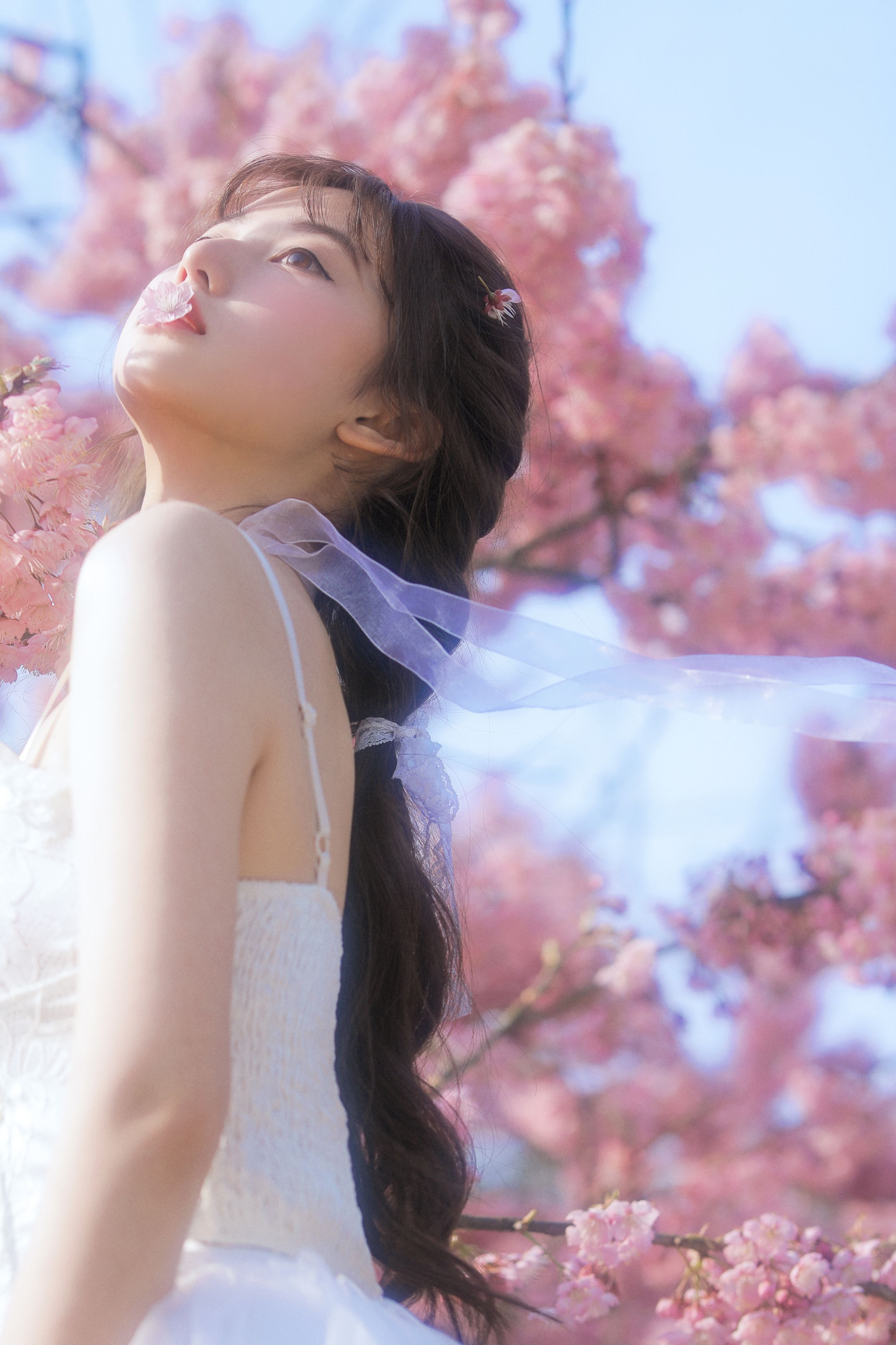 怡子yiii 樱花限定(4)