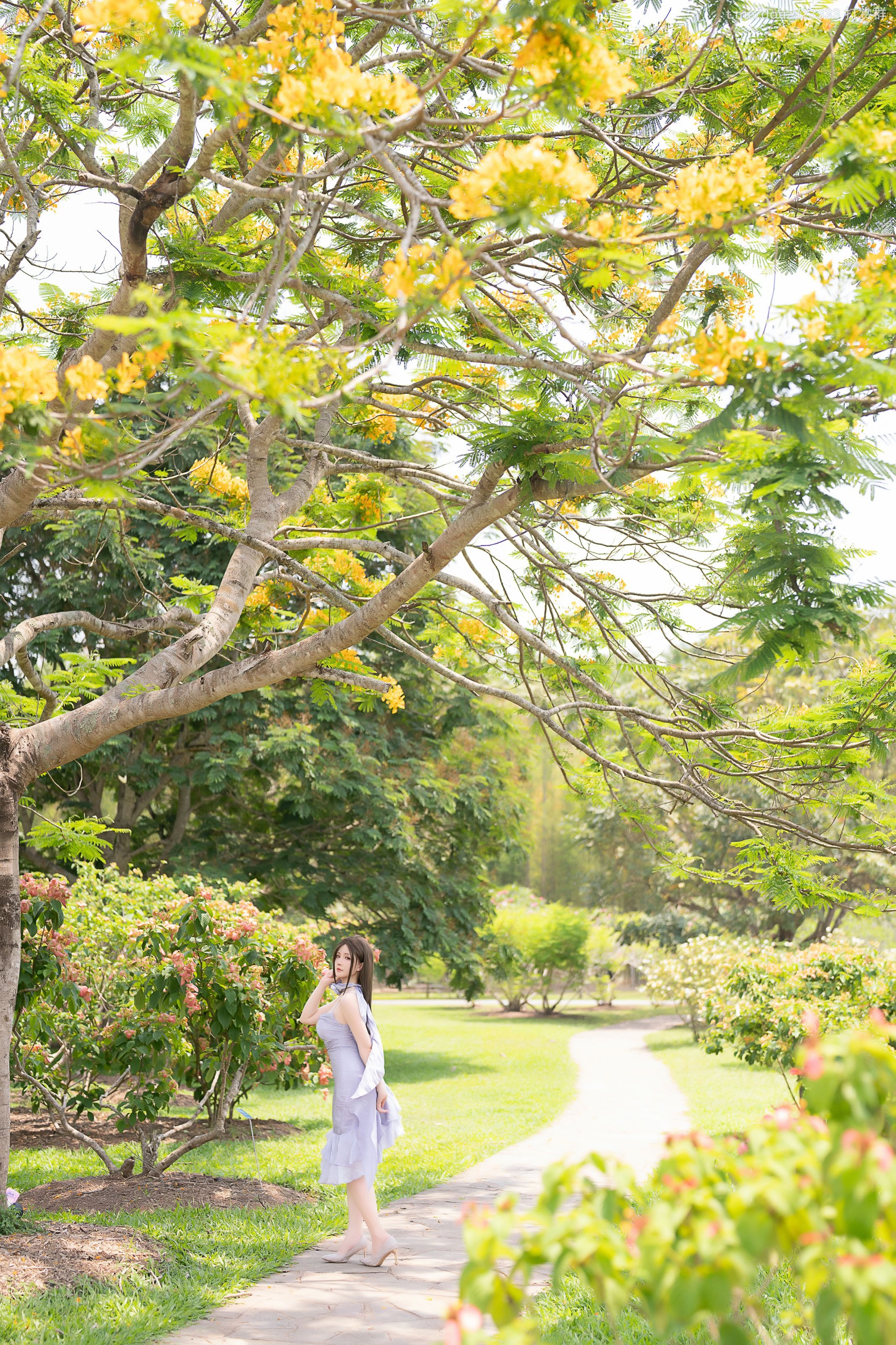 星之迟迟 2024-4-D-1（5月25打赏群资源）(135)