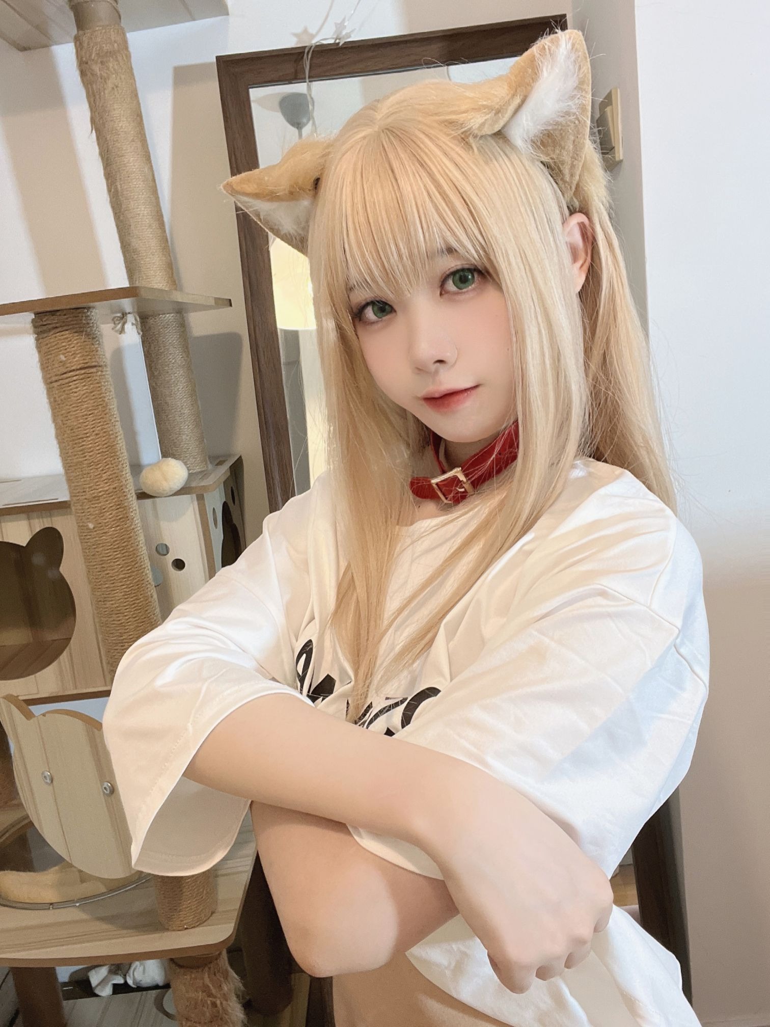 安食AJIKI 黄豆粉(31)