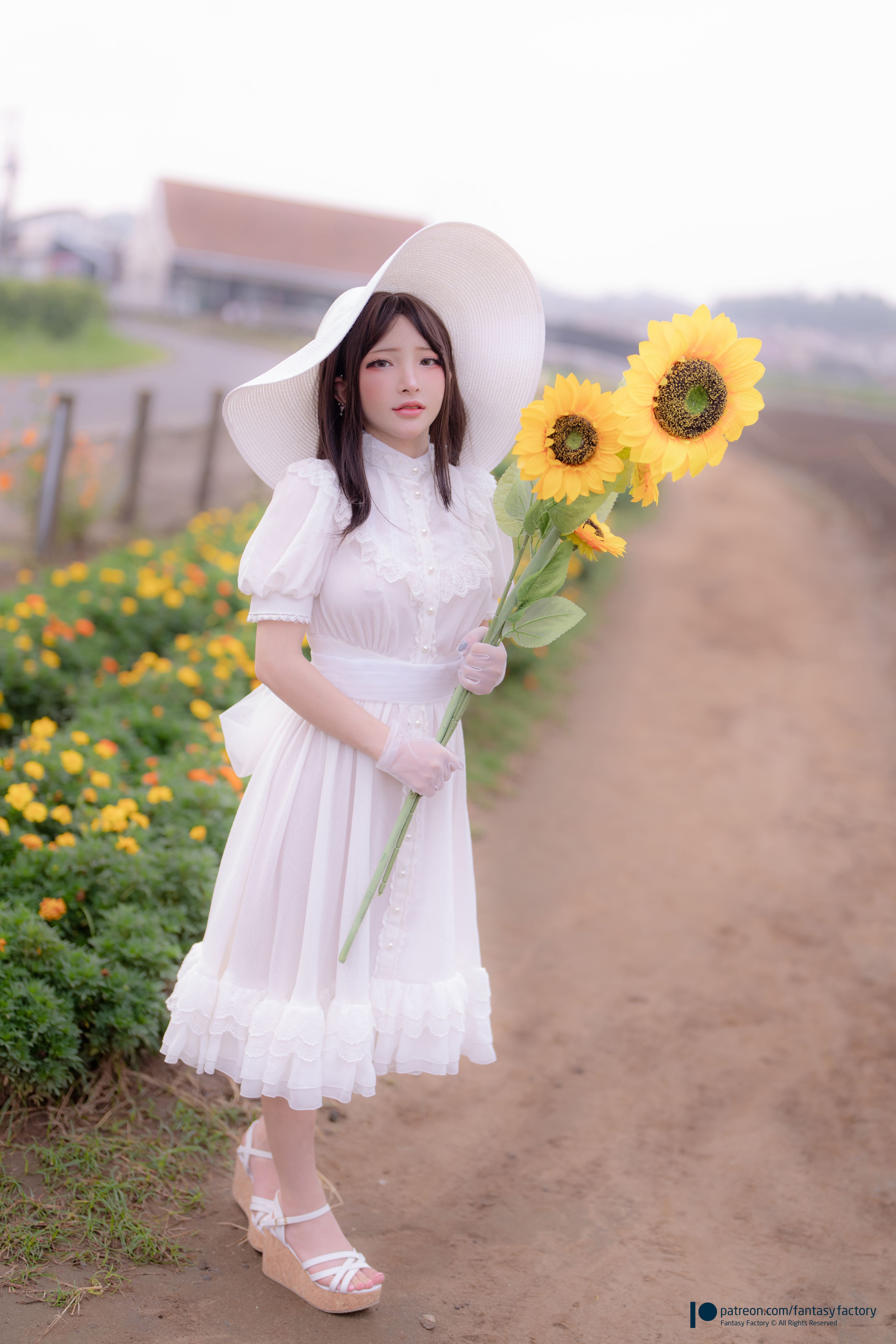 小丁 12月订阅(26)