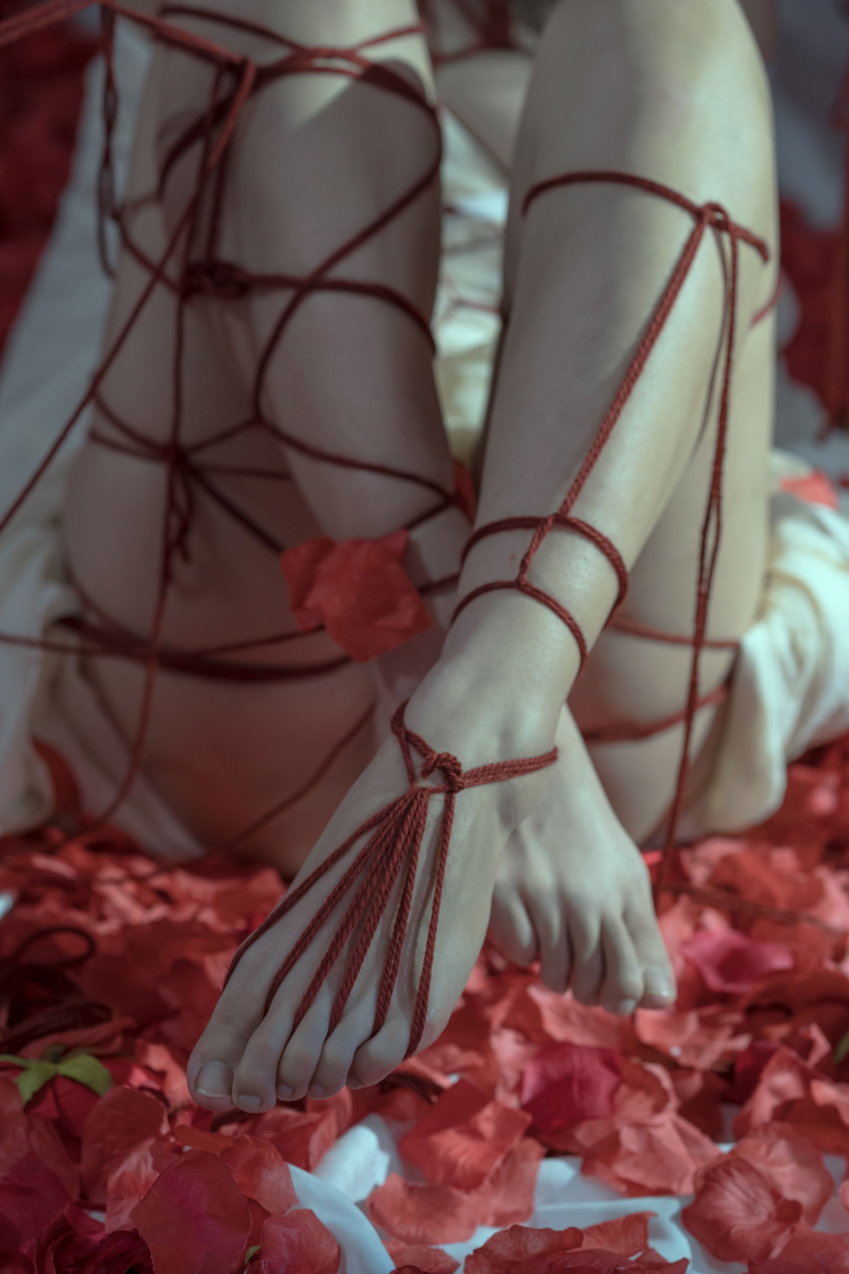 奶桃 囚鸟[64P-768MB](32)