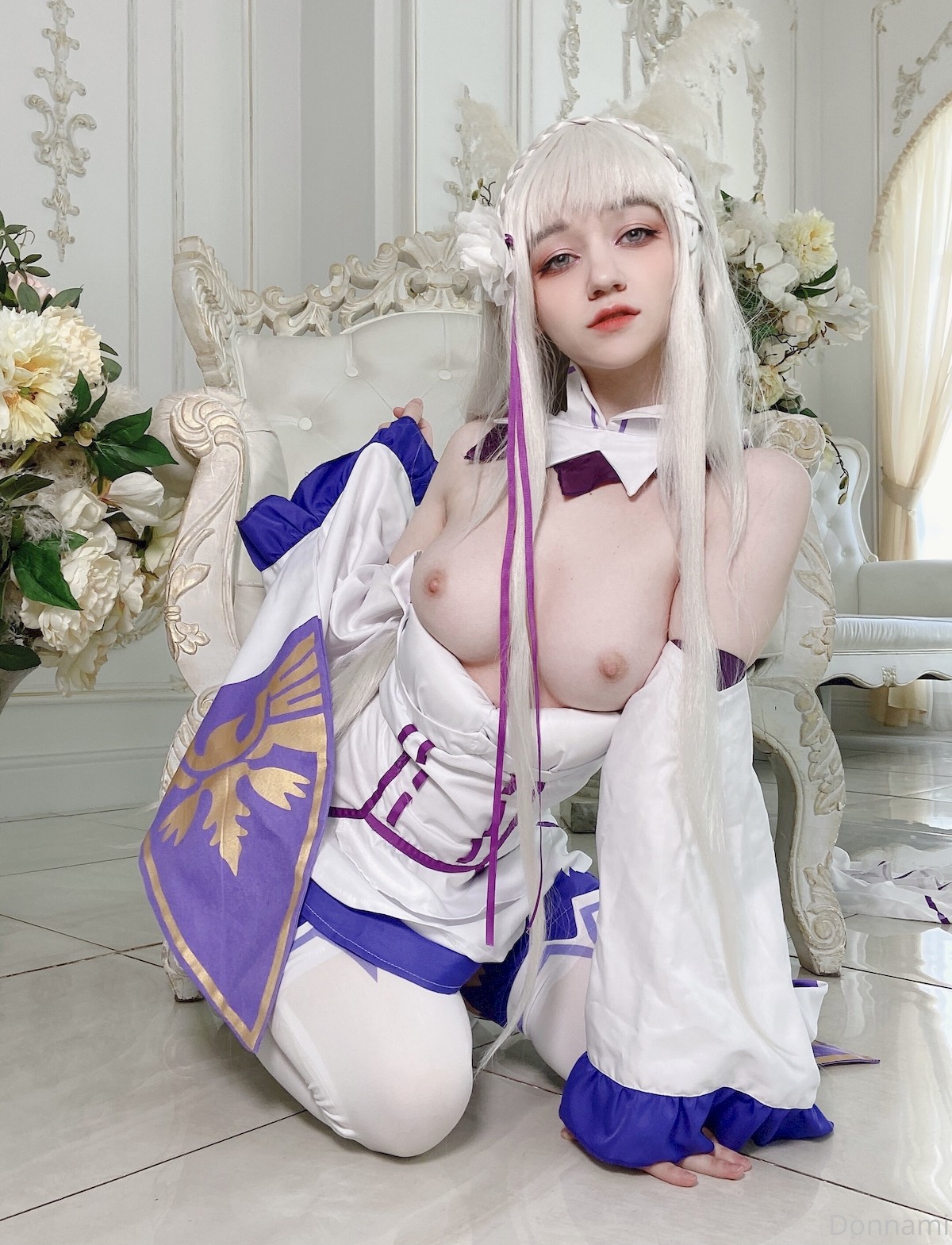 DonnaLoli Cosplay エミリア Emilia(9)