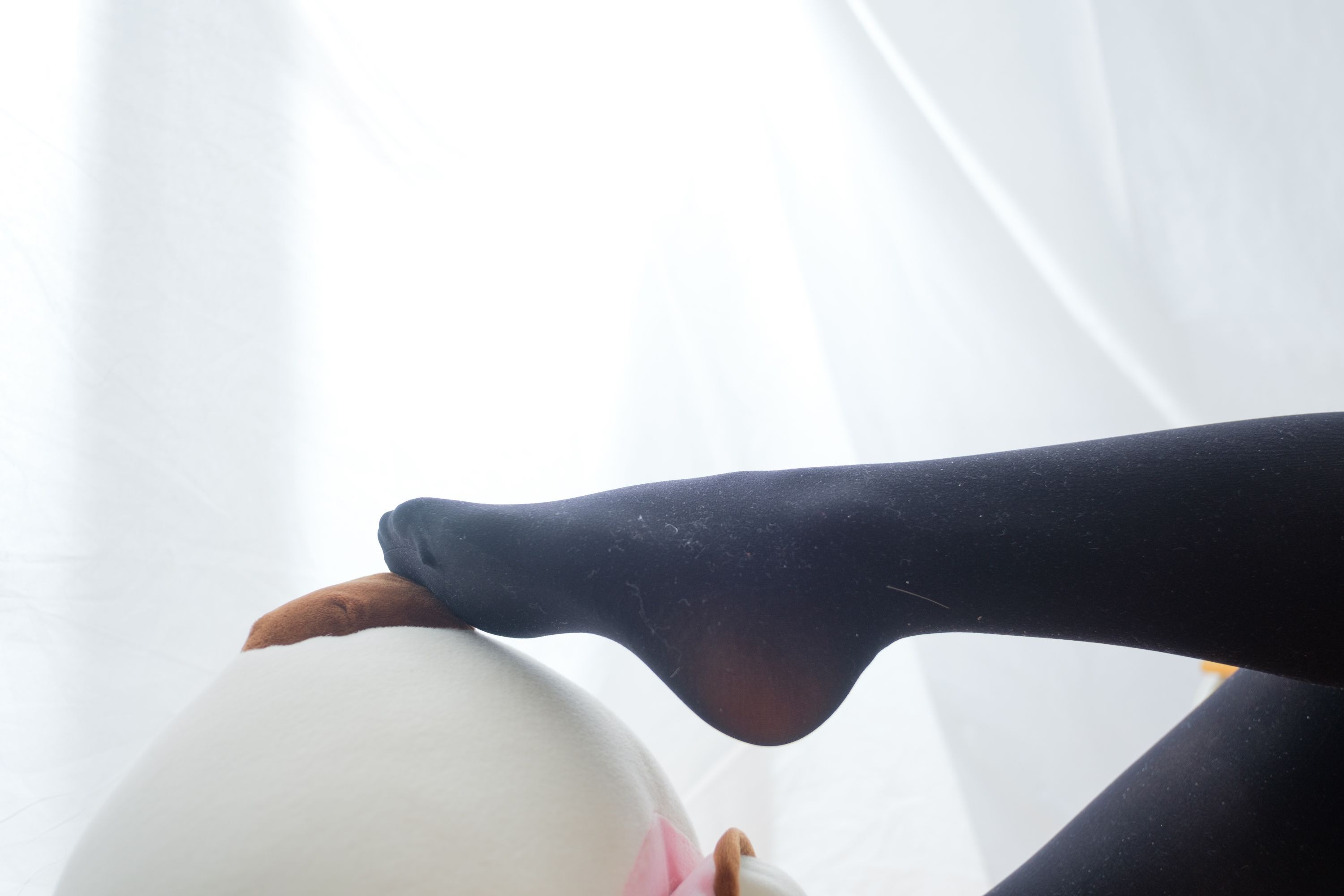 喵写真-[PR15-002] 在大熊身上的黑丝少女[90P1V](26)