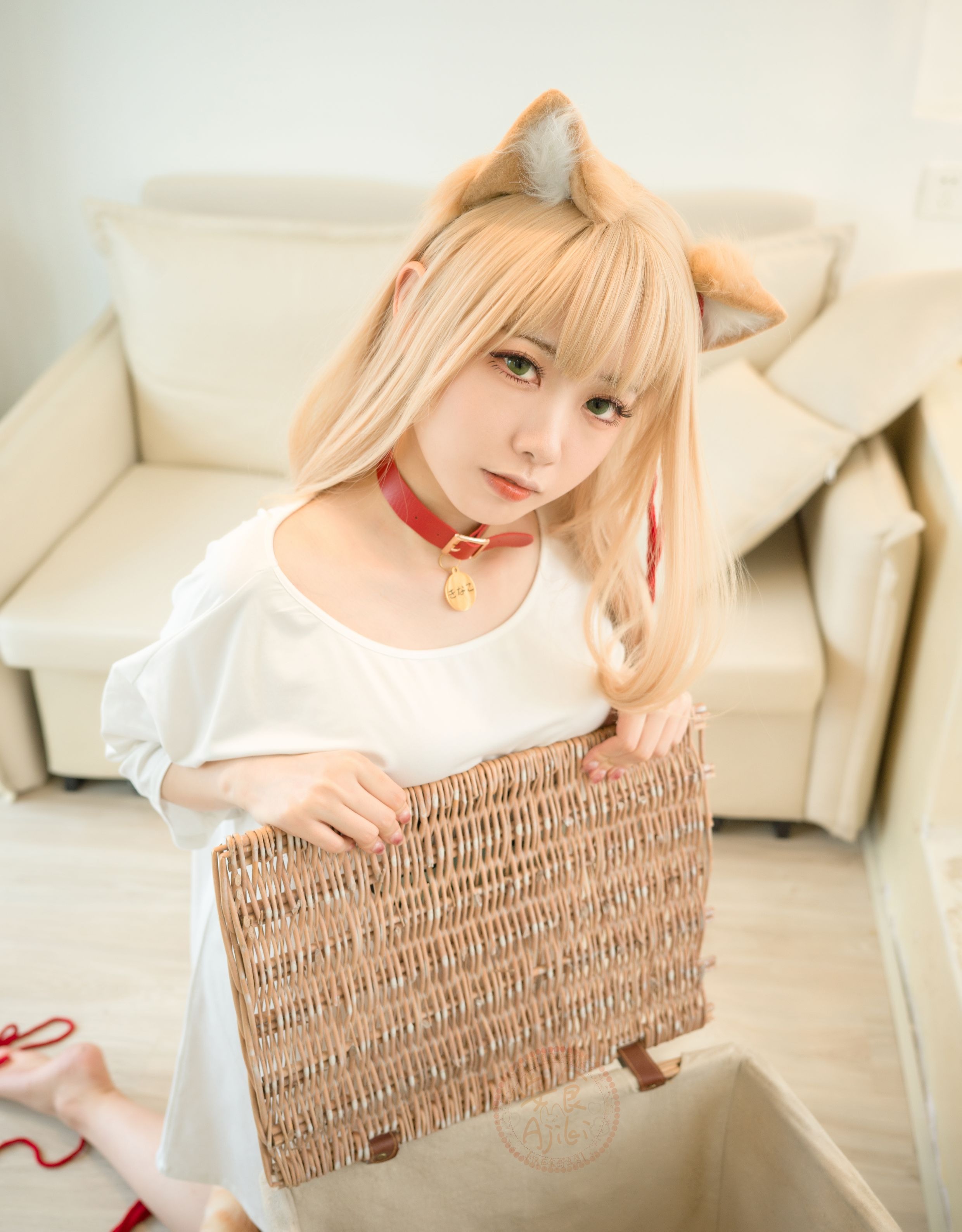 安食AJIKI 黄豆粉(17)